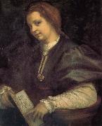 Andrea del Sarto Take the book portrait of woman Spain oil painting artist
